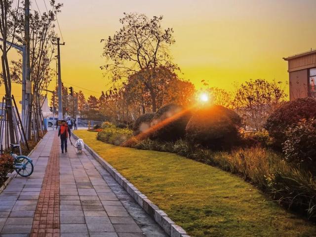 此时的桃浦，已经美成这样了……