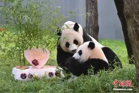 白宫：美国“绝对欢迎”！图片