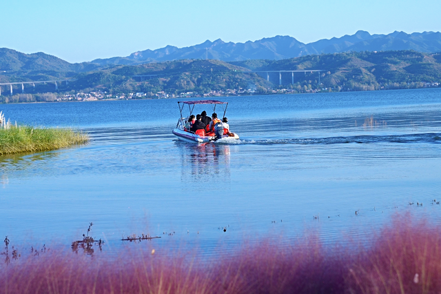 季节限定！洛阳些“海”人少景美，快出发！