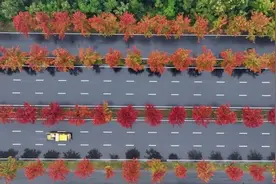 打卡湖南秋日限定美景，去这几个地方就够了图片