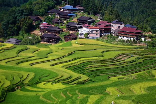 高清壁纸丨苗乡风景美如画
