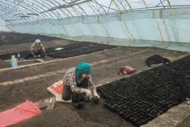 哈尔滨平房区引金融“活水” 滋养“花经济”图片