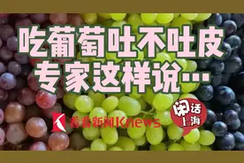 闲话上海 | 吃葡萄吐不吐皮？专家这样说……图片