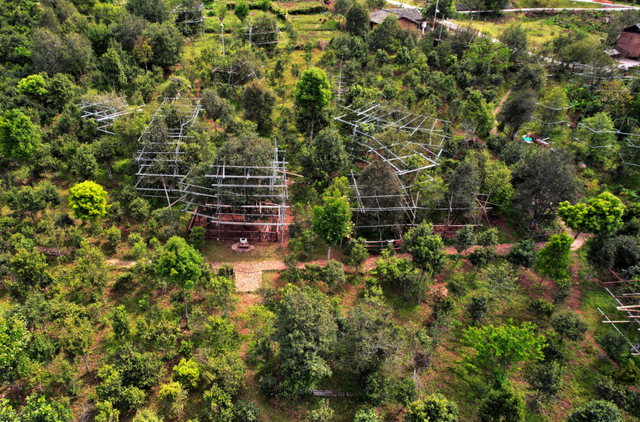 寻迹茶马古道，品味茶乡风情！云南宁洱邀上海游客共赴魅力之约
