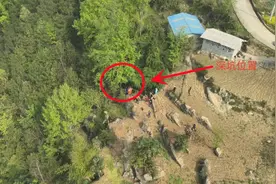 主人下坑救鹅，被坑……图片