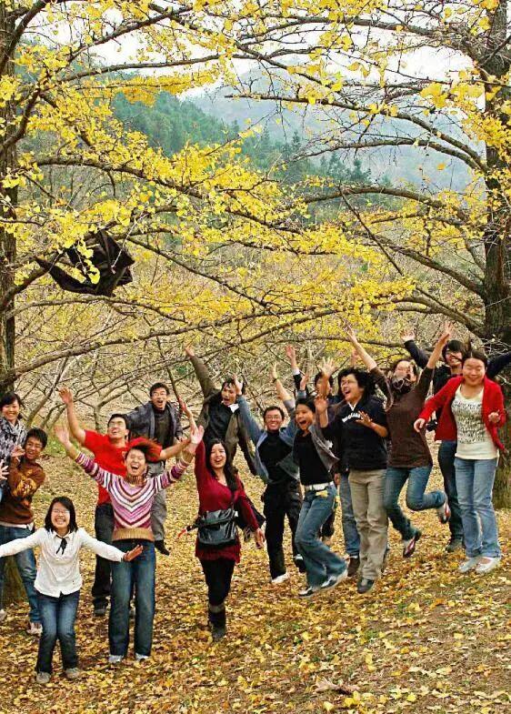 千年银杏韵，金黄满地诗，金色海洋游玩攻略来了！