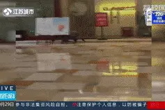 遇到野猪，请你这样做……图片