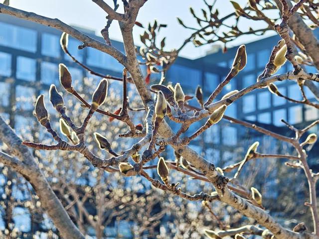 冬日午后，来明城墙遗址公园邂逅静谧时光