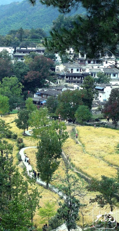 安徽黟县：斑斓塔川惹人醉