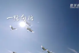 文旅新探|一路向北 探寻“丹顶鹤的家乡”图片