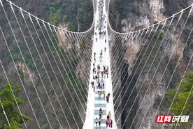 组图丨张家界大峡谷：体验玻璃桥 快乐踏春游图片