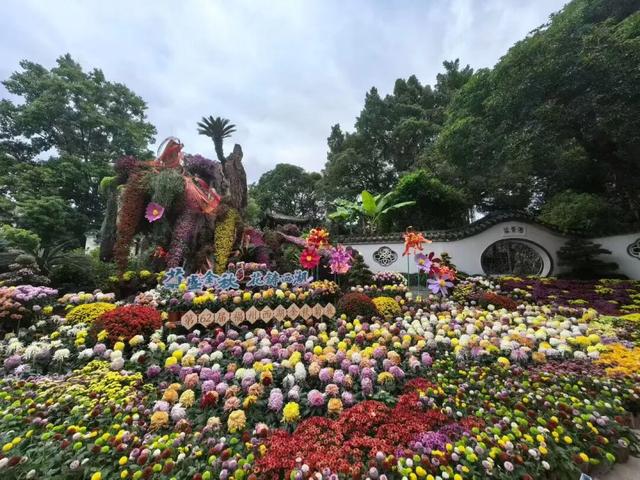 这场秋菊盛会，描绘着福建的千年风雅