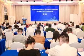 2024四川大企业大集团发展大会在成都召开，四川100强企业名单发布图片