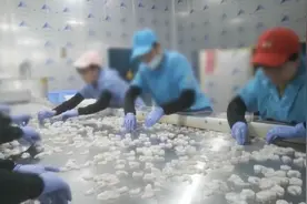 1斤虾仁7两冰！广东湛江检查“保水虾仁”涉事企业 召回相关涉事产品图片