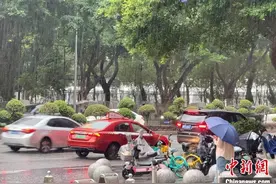 广东多地遭遇大暴雨、特大暴雨图片