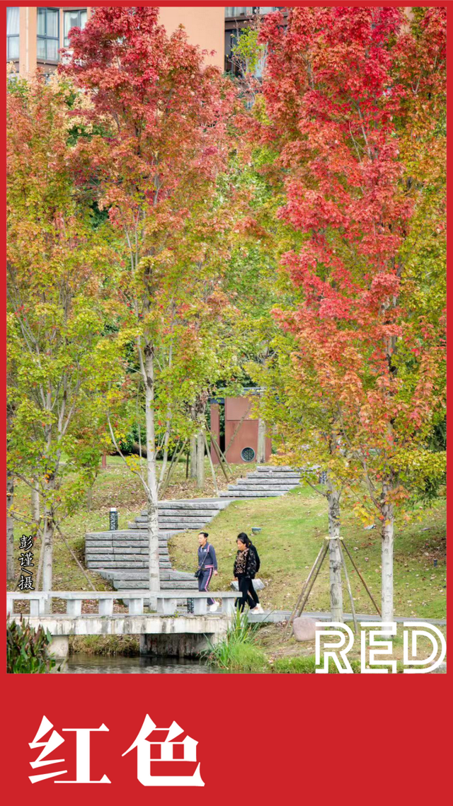 收藏这套双流秋天专属色卡，跟着拍，出片率100%