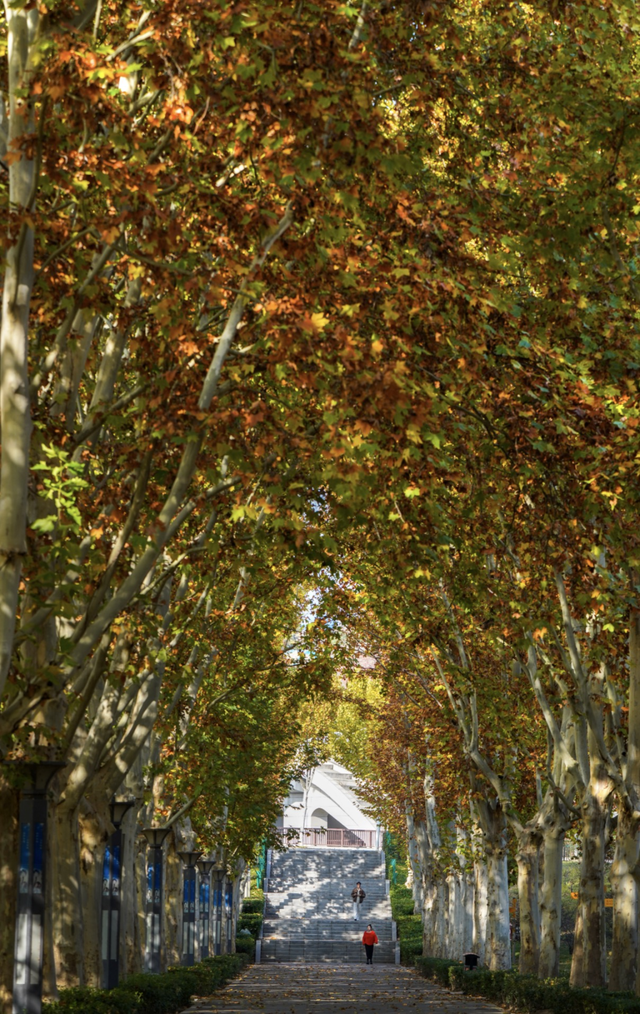 告别“节后综合征”，东区让你状态回满！