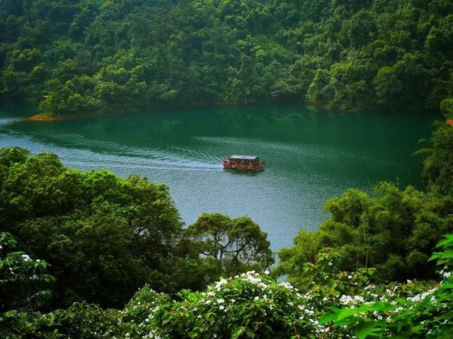 一湖清水、四大名山、小鸟天堂……肇庆这里，还是太全面了