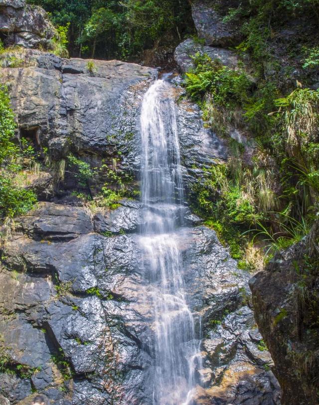 美“枫”了！九峰村迎来颜值巅峰！