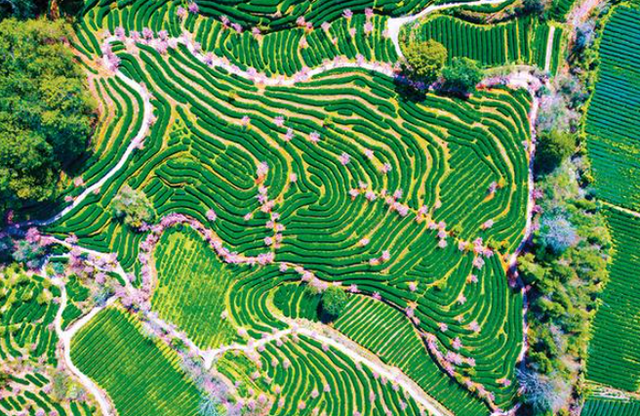 元旦去哪儿 | 来福建，邂逅一份山海相伴的温暖