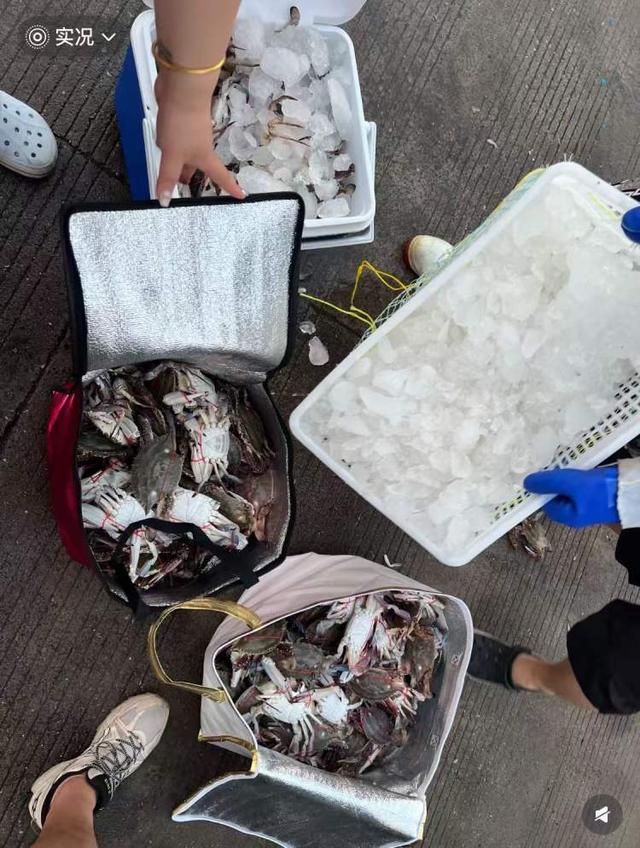 价格不比家门口菜场香，凌晨就起床，周末大堵车！一些上海人就爱去舟山、吕四、临港买梭子蟹？