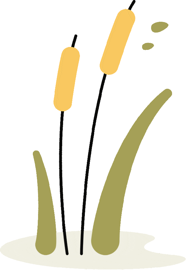 告别秋天的仪式感丨吉安武功山免票啦！周末带着孩子来体验武功山秋日的魅力吧！