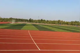 定了！全面开放图片