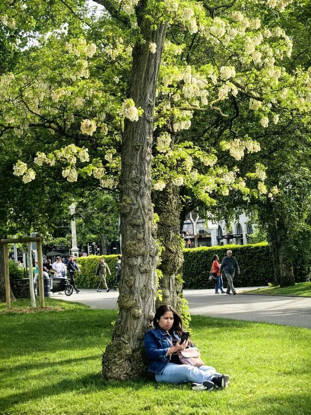 晚潮｜日内瓦湖上的时间寓言
