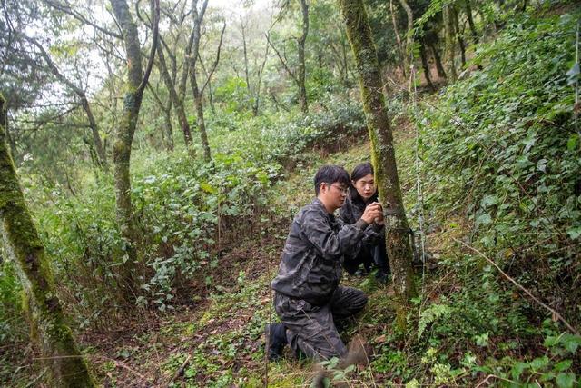 央媒看重庆｜南川：科技赋能生物多样性保护