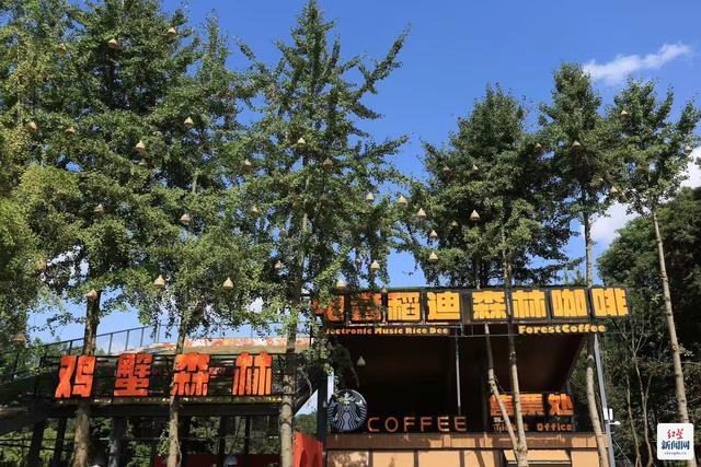 国庆遛娃新地标！温江再添露营好去处