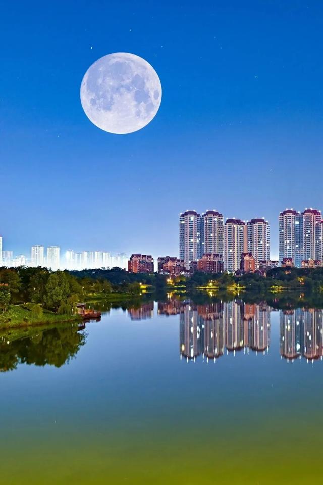 月满仁寿 | 用一个个“yuan”，打开仁寿今年的中秋