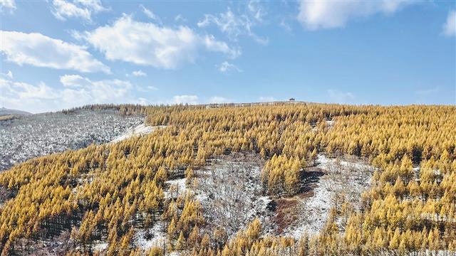 草茂林丰的生态底色