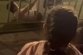 惊险！马戏团黑熊扑倒饲养员，最新回应来了图片