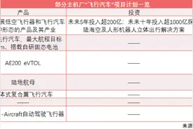 2024年终盘点|低空经济蓄势待飞：产业链优势凸显 车企接连“升舱”图片