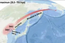 观澜亭｜中华文明和美洲文明“同一祖先”，山东青岛有DNA实证图片
