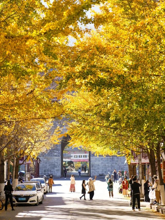 初冬的大理是这样的→