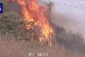 日本多地发生山火图片