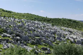 百年锑都解“毒”复绿：告别“污染之痛”，冷水江生态红利惠及民生图片