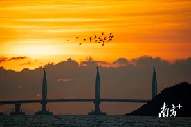 加力提速推进“头号工程”，珠海2024年这样干！图片
