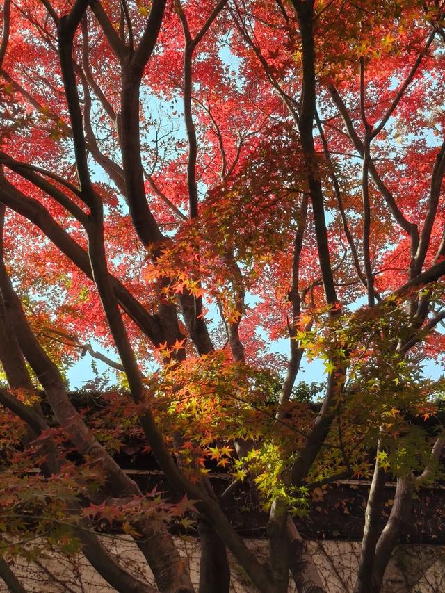 火！火！火！无锡这里被挤爆了！