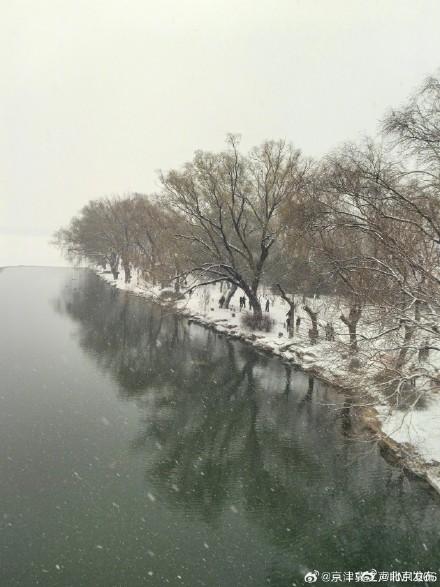 北京初雪把颐和园泼成水墨长卷