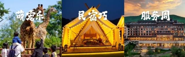 泉城“鱼”乐大联欢 “好客山东”摆盛宴