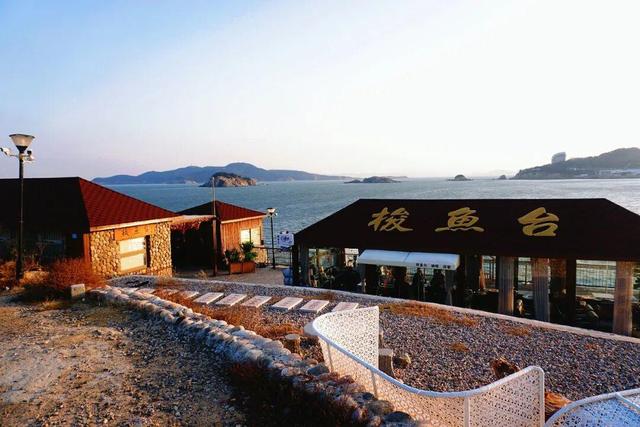 “鸥”遇环翠 “雪”舞浪漫丨威海这个地方，来一百次也不会腻