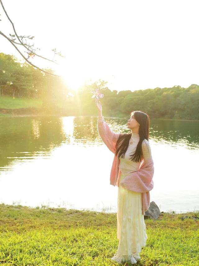 最美松湖 | 这棵“顶流”异木棉到底有多顶？