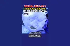 海洋公园一幕让人惊了！上班饿了搞个“同事”吃吃？保育员：是鳐鱼习性，会及时阻止图片