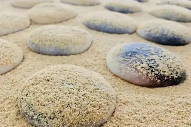 玩转西施跨年音乐节！吃喝玩乐，收藏这篇就够了→