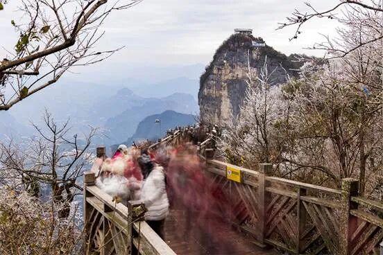 一眼心动！雾凇，山巅的“冰雪派对”