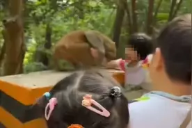 深圳塘朗山郊野公园野猴咬伤女童，研究人员提醒：保持距离，勿投喂图片