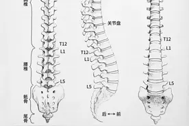 护腰坐垫可以实现“久坐不累”？这些话不要再信了图片