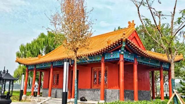 家门口享惬意时光！滨州一小岛对外开放
